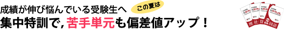 成績が伸び悩んでいる受験生へ この夏は集中特訓で、苦手単元も偏差値アップ!