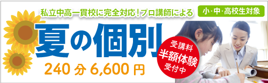 夏期個別体験 4回6,600円 プロ講師による完全1対1の「教え込み型」個別指導 初めての方は4回6600円で体験 定期試験対策も受付中!